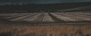 Preview wallpaper field, grass, evening