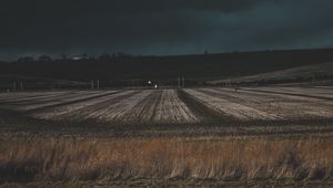 Preview wallpaper field, grass, evening