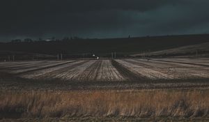 Preview wallpaper field, grass, evening