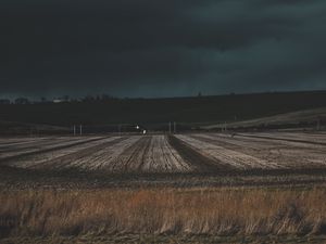 Preview wallpaper field, grass, evening