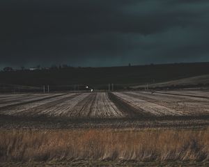 Preview wallpaper field, grass, evening
