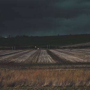 Preview wallpaper field, grass, evening