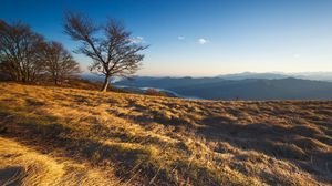 Preview wallpaper field, grass, faded, autumn, look