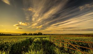 Preview wallpaper field, grass, fence, sky, summer