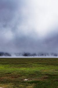 Preview wallpaper field, grass, fog, nature