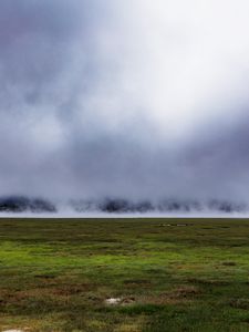 Preview wallpaper field, grass, fog, nature