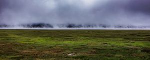 Preview wallpaper field, grass, fog, nature