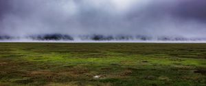 Preview wallpaper field, grass, fog, nature