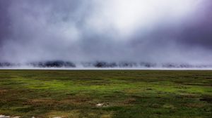 Preview wallpaper field, grass, fog, nature