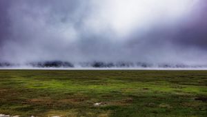 Preview wallpaper field, grass, fog, nature