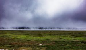 Preview wallpaper field, grass, fog, nature