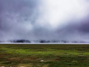 Preview wallpaper field, grass, fog, nature