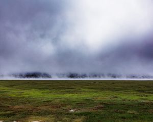 Preview wallpaper field, grass, fog, nature