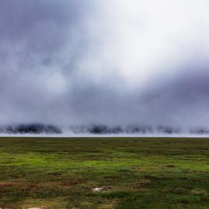 Preview wallpaper field, grass, fog, nature