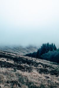 Preview wallpaper field, grass, fog, overcast