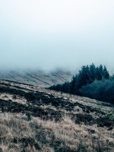 Preview wallpaper field, grass, fog, overcast