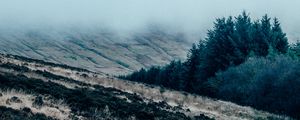 Preview wallpaper field, grass, fog, overcast