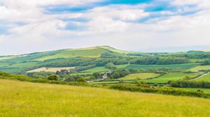 Preview wallpaper field, grass, hill, trees, sky