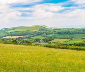 Preview wallpaper field, grass, hill, trees, sky