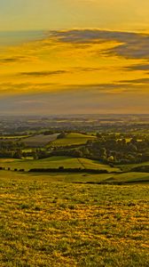 Preview wallpaper field, grass, hills, trees, distance, sunset