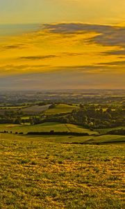 Preview wallpaper field, grass, hills, trees, distance, sunset