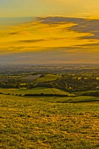 Preview wallpaper field, grass, hills, trees, distance, sunset