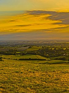 Preview wallpaper field, grass, hills, trees, distance, sunset