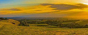 Preview wallpaper field, grass, hills, trees, distance, sunset