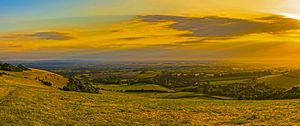 Preview wallpaper field, grass, hills, trees, distance, sunset