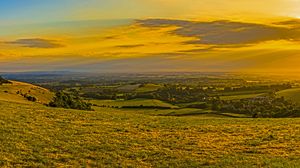 Preview wallpaper field, grass, hills, trees, distance, sunset