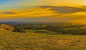 Preview wallpaper field, grass, hills, trees, distance, sunset