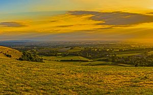 Preview wallpaper field, grass, hills, trees, distance, sunset