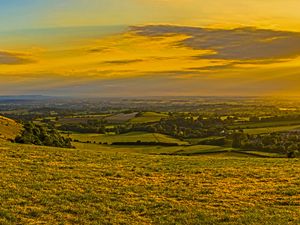 Preview wallpaper field, grass, hills, trees, distance, sunset