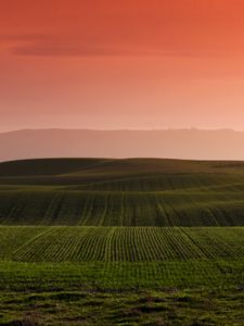 Preview wallpaper field, grass, hills, landscape