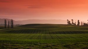 Preview wallpaper field, grass, hills, landscape