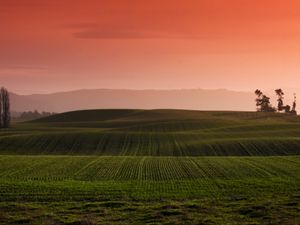 Preview wallpaper field, grass, hills, landscape