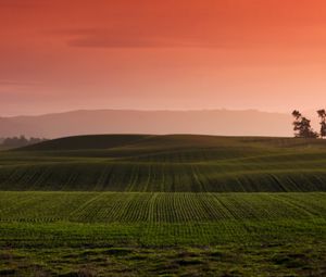 Preview wallpaper field, grass, hills, landscape