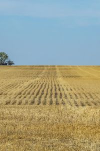 Preview wallpaper field, grass, horizon, landscape