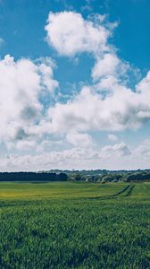 Preview wallpaper field, grass, horizon