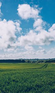 Preview wallpaper field, grass, horizon