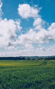 Preview wallpaper field, grass, horizon