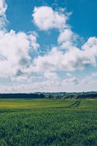 Preview wallpaper field, grass, horizon