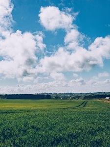 Preview wallpaper field, grass, horizon