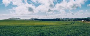 Preview wallpaper field, grass, horizon