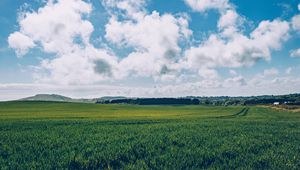 Preview wallpaper field, grass, horizon