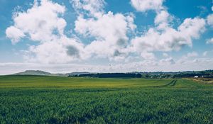 Preview wallpaper field, grass, horizon