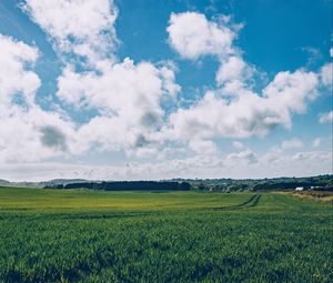 Preview wallpaper field, grass, horizon