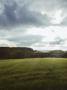 Preview wallpaper field, grass, horizon, clouds, trees, landscape, wolfsbach, bavaria, germany