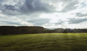 Preview wallpaper field, grass, horizon, clouds, trees, landscape, wolfsbach, bavaria, germany