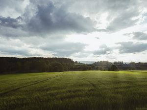 Preview wallpaper field, grass, horizon, clouds, trees, landscape, wolfsbach, bavaria, germany